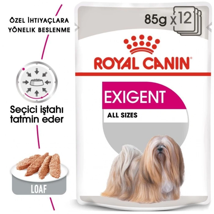 Royal Canin Exigent Köpek Yaş Maması 85 Gr