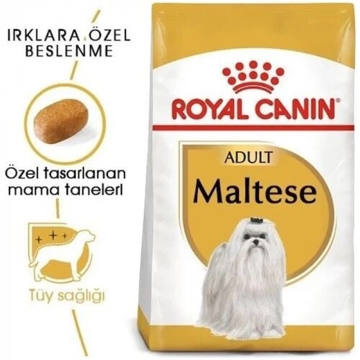 Royal Canin Maltese Bichon Yetişkin Köpek Maması 1,5 kg
