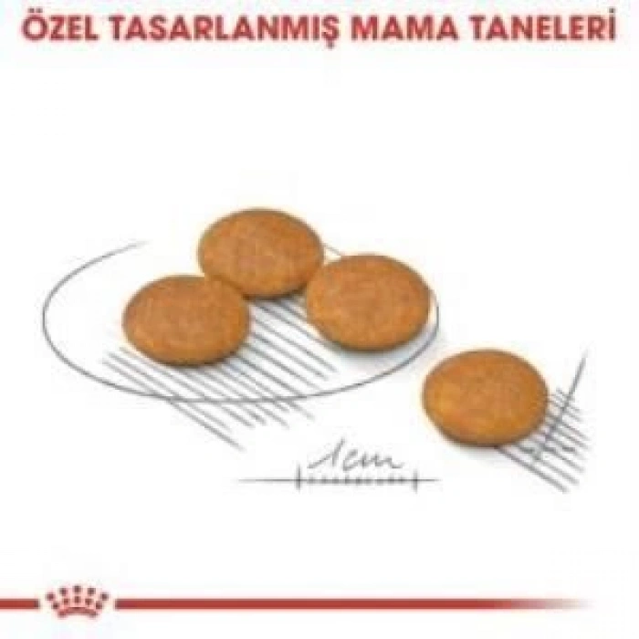 Royal Canin Mini Dermacomfort Yetişkin Köpek Maması 3 Kg + 2 Adet Yaş Mama Hediye