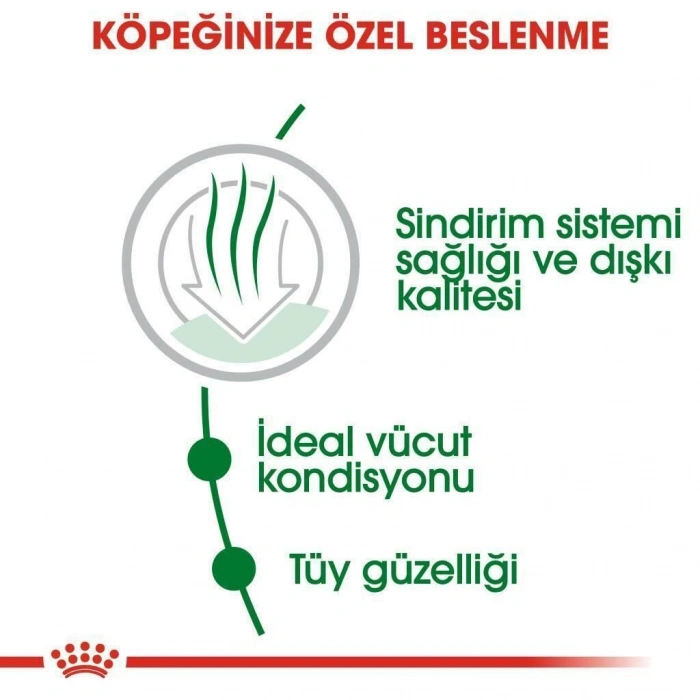 Royal Canin Mini İndoor Adult Köpek Maması 1,5 kg + 2 Adet Yaş Mama Hediye