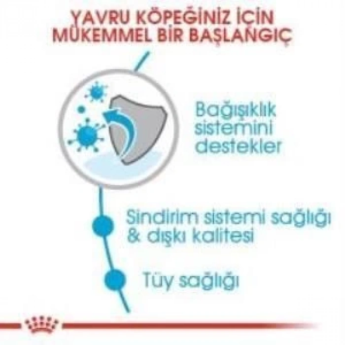 Royal Canin Mini Puppy Yavru Köpek Maması 2 kg + 2 Adet Yaş Mama Hediye