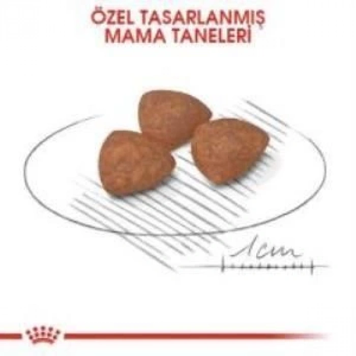 Royal Canin Mini Puppy Yavru Köpek Maması 2 kg + 2 Adet Yaş Mama Hediye