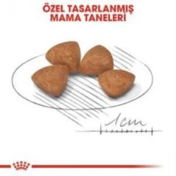 Royal Canin X-Small Puppy Küçük Irk Yavru Köpek Maması 3 Kg + 2 Adet Yaş Mama Hediye