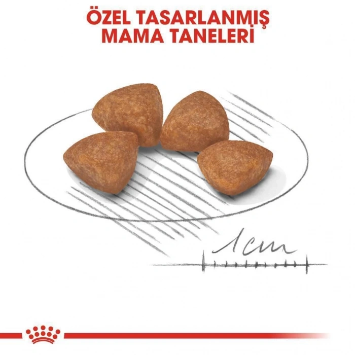 Royal Canin X Small Yavru Köpek Maması 1,5 kg + 2 Adet Yaş Mama Hediye