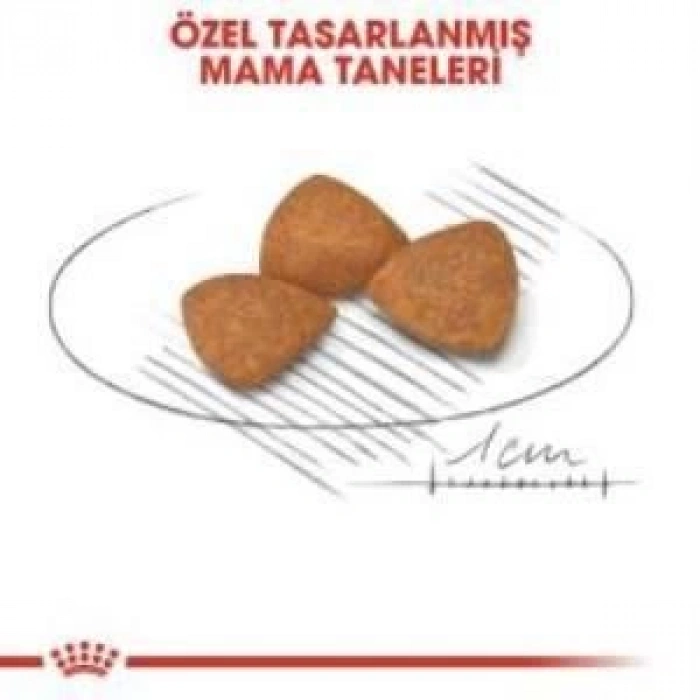 Royal Canin XSmall Ageing +12  Köpek Maması 1,5 kg + 2 Adet Yaş Mama Hediye