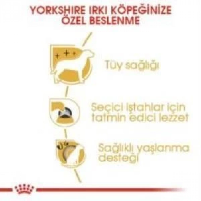 Royal Canin Yorkshire Terrier Köpek Maması 1,5 kg + 2 Adet Yaş Mama Hediye
