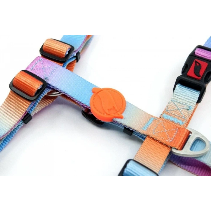 Tailpetz Pass Göğüs Tasmasi ( Medium )