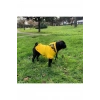 Magnet Sweatshirt Köpek Kıyafeti