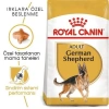 Royal Canin Alman Kurtları İçin Yetişkin Köpek Maması 11 kg
