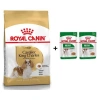 Royal Canin Cavalier King Charles  Yetişkin Köpek Maması 1,5 kg + 2 Adet Yaş Mama Hediye