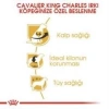 Royal Canin Cavalier King Charles  Yetişkin Köpek Maması 3 kg + 2 Adet Yaş Mama Hediye
