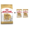 Royal Canin Chihuahua Yetişkin Köpek Maması 1,5 kg + 2 Adet Yaş Mama Hediye
