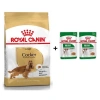 Royal Canin Cocker Yetişkin Köpek Maması 3 kg + 2 Adet Yaş Mama Hediye