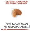 Royal Canin Cocker Yetişkin Köpek Maması 3 kg
