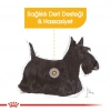 Royal Canin Dermacomfort Loaf Köpek Yaş Maması 85 Gr