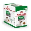 Royal Canin Gravy Ageing +12 Köpek Maması 85 Gr 12 Adet