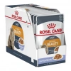 Royal Canin Jelly Intense Beauty Kedi Maması 85 Gr X 12