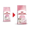 Royal Canin Kitten Yavru Kuru Kedi Maması 10 Kg