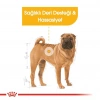 Royal Canin Medium Dermacomfort Yetişkin Köpek Maması 12 Kg