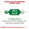 Royal Canin Mini Adult Soslu Köpek Konservesi 85 gr