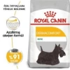 Royal Canin Mini Dermacomfort Yetişkin Köpek Maması 3 Kg + 2 Adet Yaş Mama Hediye