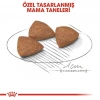 Royal Canin Mini İndoor Adult Köpek Maması 1,5 kg + 2 Adet Yaş Mama Hediye