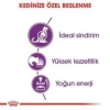 Royal Canin Sensible 33 Kuru Kedi Maması 4 kg + 2 Adet Yaş Mama Hediye