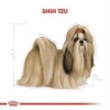 Royal Canin Shih Tzu Yetişkin Köpek Maması 1.5 Kg + 2 Adet Yaş Mama Hediye