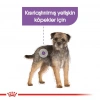 Royal Canin Sterilised Loaf Kısır Köpek Yaş Maması 85 Gr