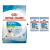 Royal Canin X-Small Puppy Küçük Irk Yavru Köpek Maması 3 Kg + 2 Adet Yaş Mama Hediye