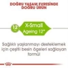 Royal Canin XSmall Ageing +12  Köpek Maması 1,5 kg + 2 Adet Yaş Mama Hediye