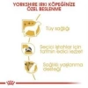 Royal Canin Yorkshire Terrier Köpek Maması 1,5 kg + 2 Adet Yaş Mama Hediye