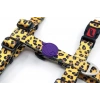 Tailpetz Leopard Göğüs Tasmasi ( Medium )