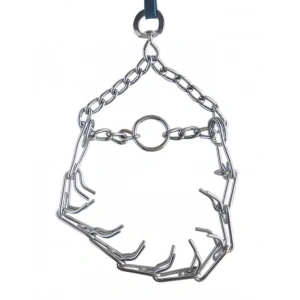 Eastland Eğitim Tasması Small