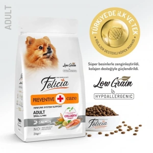 Felicia Somonlu Yetişkin Small/Mini Köpek Maması 3 Kg