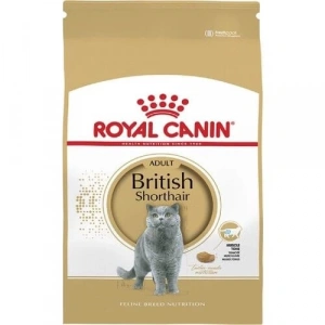 Royal Canin British Shorthair Yetişkin Kedi Maması 4 kg