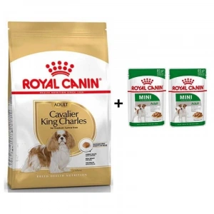 Royal Canin Cavalier King Charles  Yetişkin Köpek Maması 3 kg + 2 Adet Yaş Mama Hediye