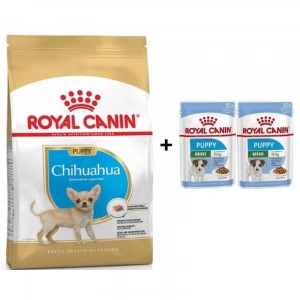 Royal Canin Chihuahua Junior Yavru Köpek Maması 1,5 kg + 2 Adet Yaş Mama Hediye