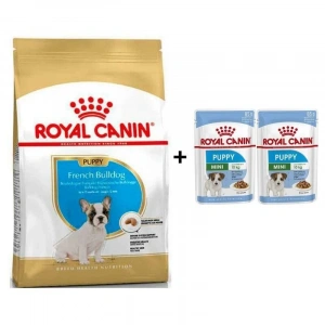 Royal Canin French Bulldog Yavru Köpek Maması 3 kg + 2 Adet Yaş Mama Hediye