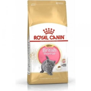 Royal Canin Kitten British Shorthair Yavru Kedi Maması 2 kg