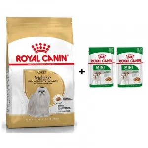 Royal Canin Maltese Bichon Yetişkin Köpek Maması 1,5 kg + 2 Adet Yaş Mama Hediye