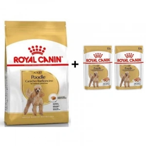 Royal Canin Poodle Adult Köpek Maması 3 Kg + 2 Adet Yaş Mama Hediye