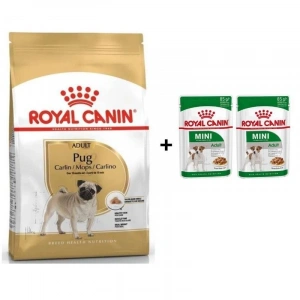 Royal Canin Pug  Irkı Özel Köpek Maması 1,5 kg + 2 Adet Yaş Mama Hediye