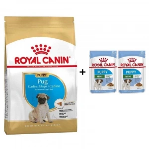 Royal Canin Pug Junior Yavru Köpek Maması 1,5 kg + 2 Adet Yaş Mama Hediye