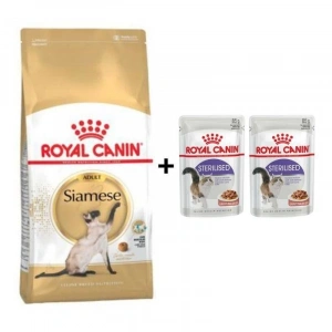 Royal Canin Siamese Yetişkin Kedi Maması 2 Kg + 2 Adet Yaş Mama Hediye