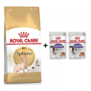 Royal Canin Sphynx Yetişkin Kedi Maması 2 Kg + 2 Adet Yaş Mama Hediye