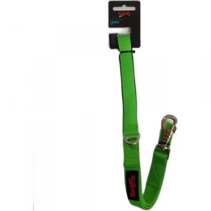 Tailpetz Neon Yeşil Köpek Gezdirme Tasması Medium