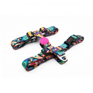 Tailpetz Paisley Göğüs Tasmasi S