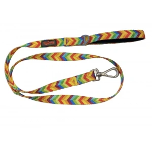 Tailpetz Rainbow Leash Gezdirme Kayışı