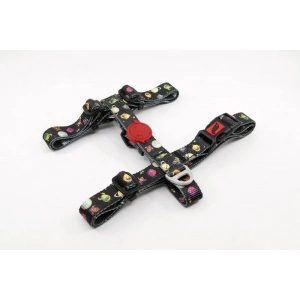 Tailpetz Space Göğüs Tasmasi